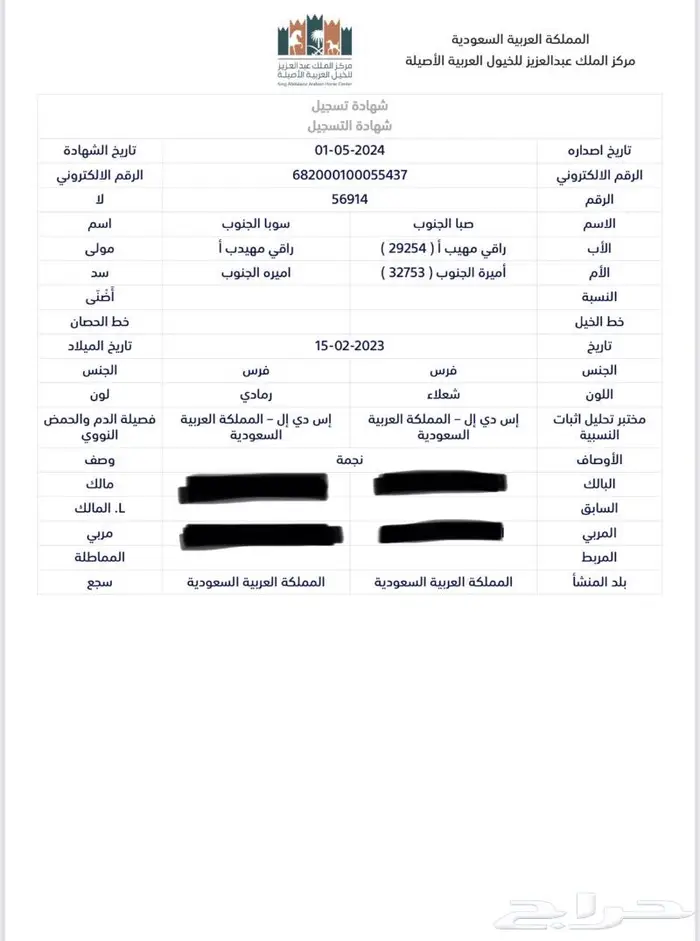 مهره واهو عربية اصيلة 3