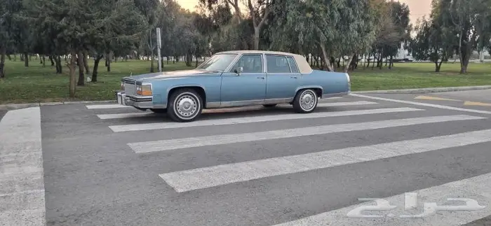 لعشاق السيارات الكلاسيكية Cadillac Fleetwood elegance 1982 0