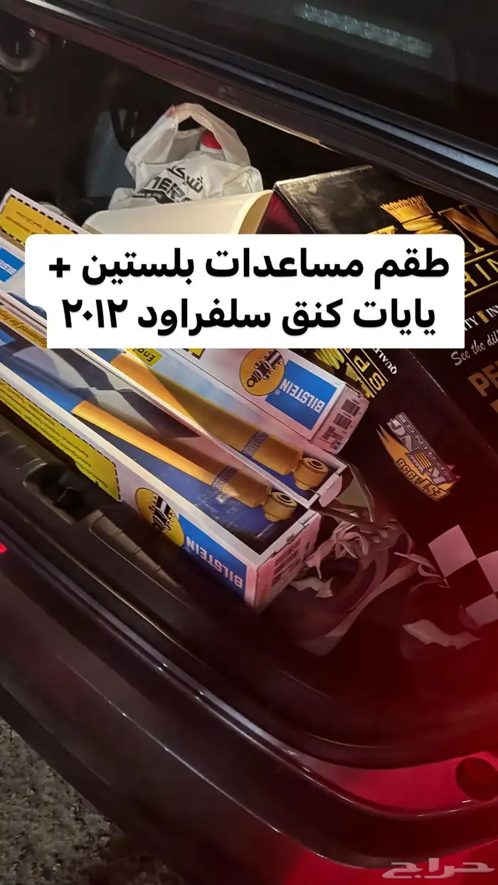 مساعدات بلستين 10
