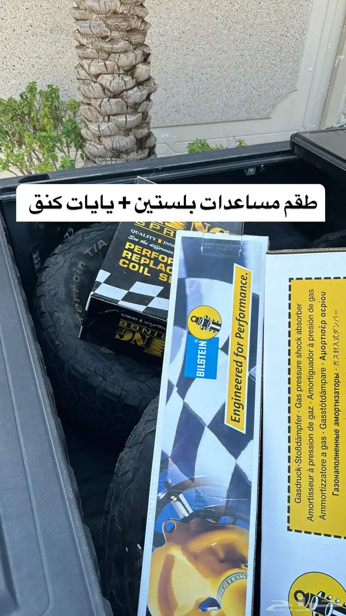 مساعدات بلستين 15