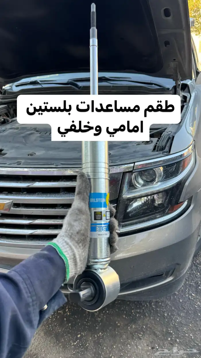 مساعدات بلستين 12