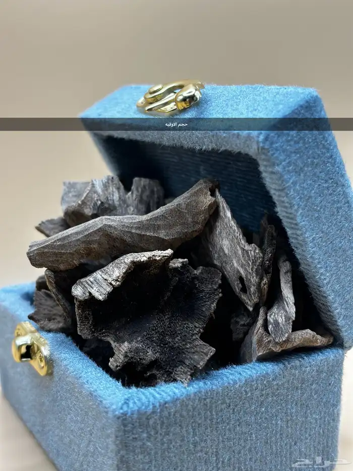 عود زوايا فيتنامي غابات طبيعي دبل سوبر 5