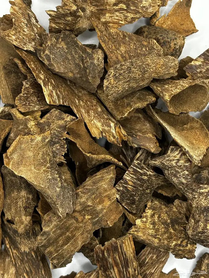 عود زوايا فيتنامي غابات طبيعي دبل سوبر 4