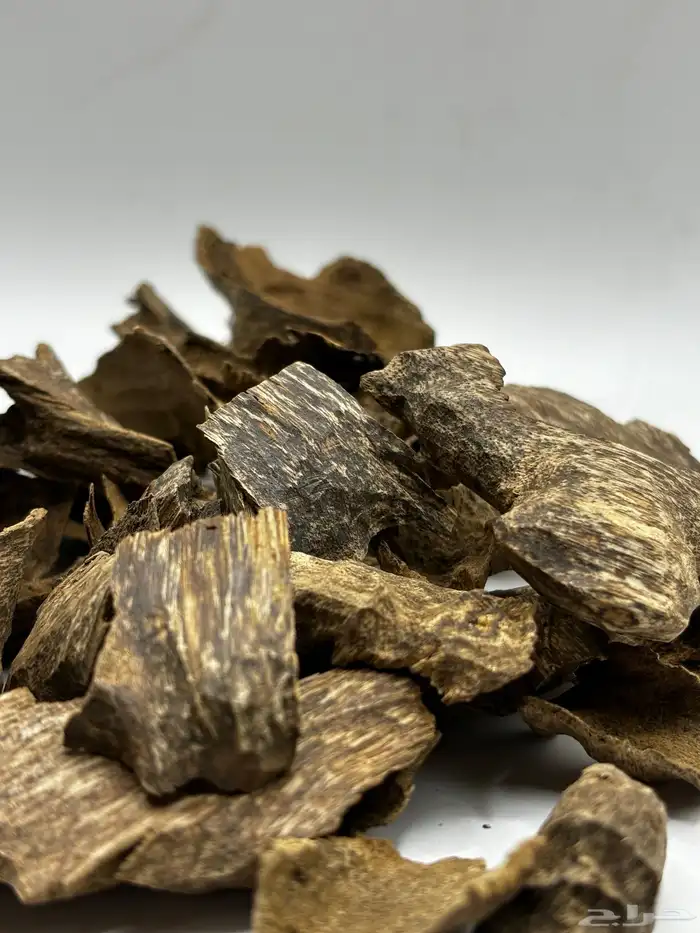 عود زوايا فيتنامي غابات طبيعي دبل سوبر 0