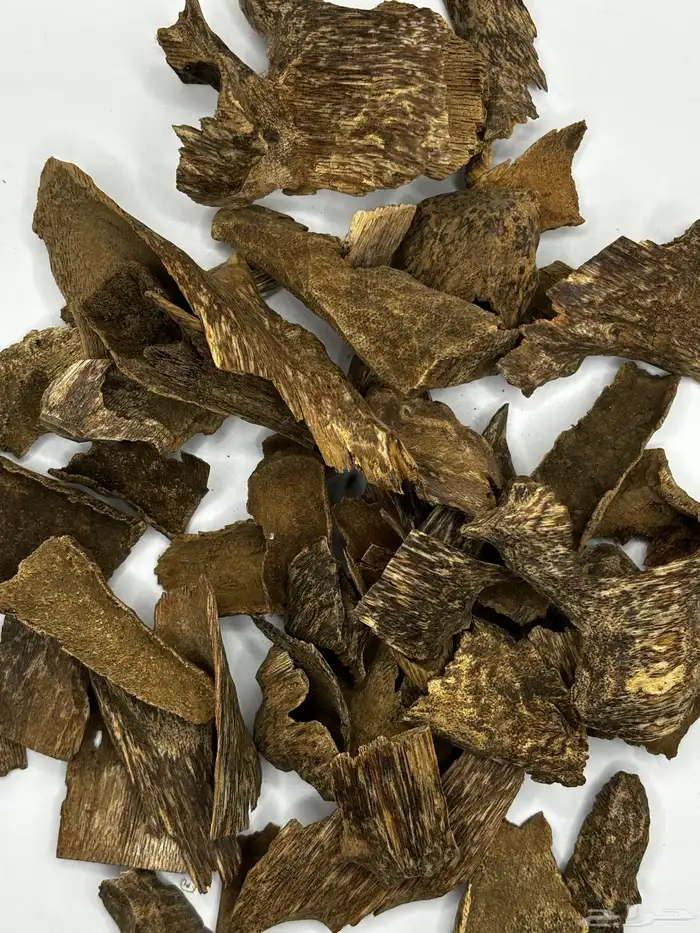 عود زوايا فيتنامي غابات طبيعي دبل سوبر 1