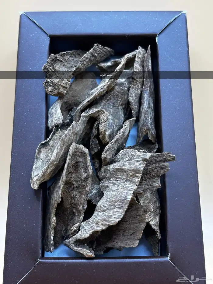 عود زوايا فيتنامي غابات طبيعي دبل سوبر 6