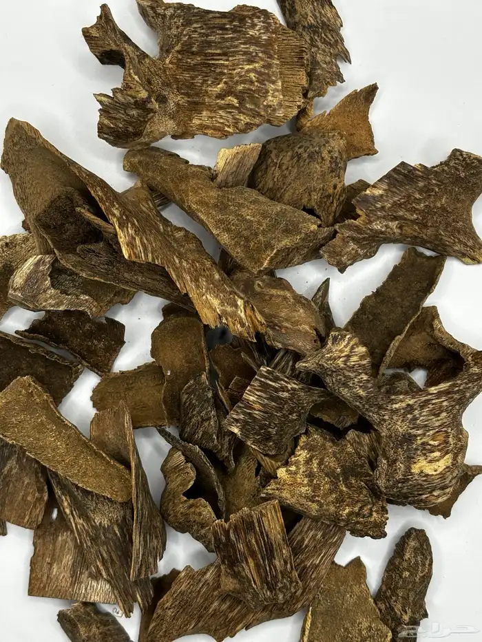 عود زوايا فيتنامي غابات طبيعي دبل سوبر 2