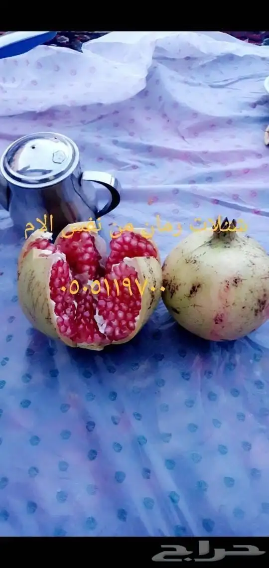 شتلات رمان 10 ريال 4