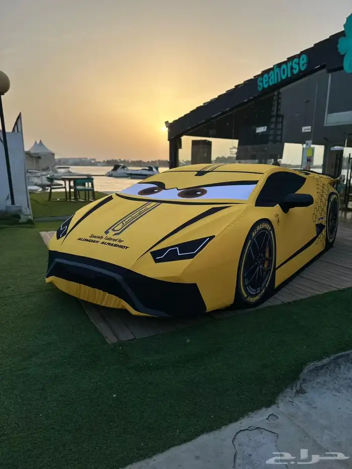 طربال سيارات تفصيل لمختلف انواع السيارات 9