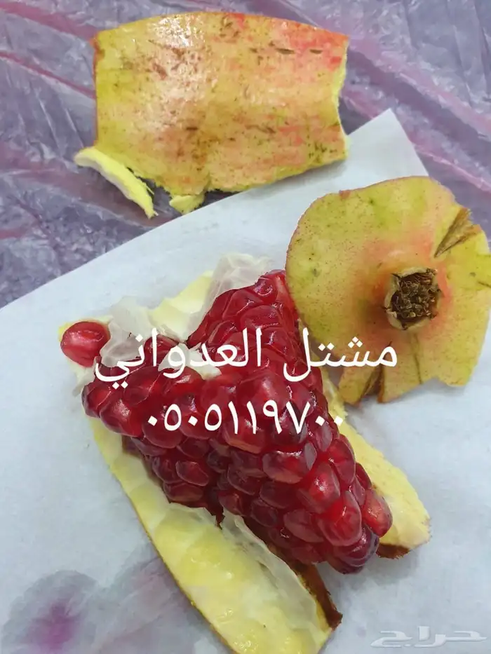 شتلات رمان 10 ريال 2