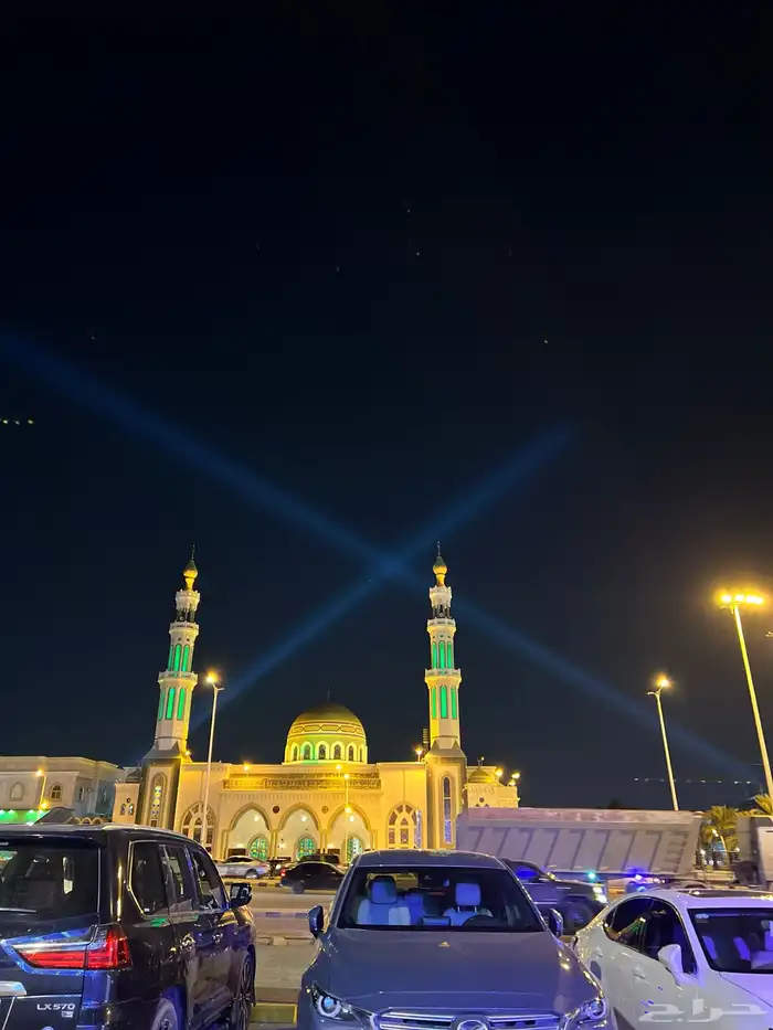 تأجير البالونات والرقص في الهواء بالونات للإيجار 8
