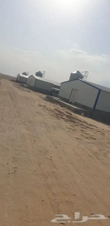 تركيب حضائر دواجن 0
