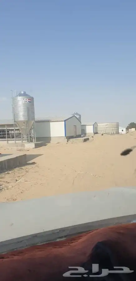 تركيب حضائر دواجن 3