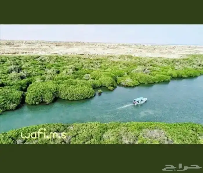 مرشد سياحي في فرسان 2