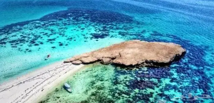 مرشد سياحي في فرسان 0