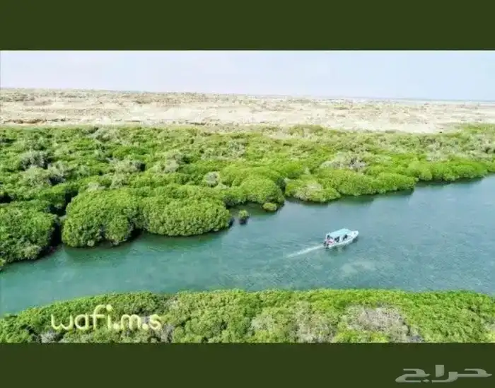مرشد سياحي في فرسان 3