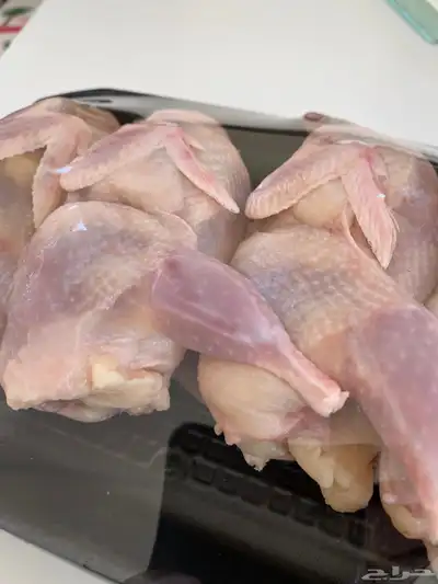 سمان طازج   سمان بياض   صوص سمان   بيض سمان 6