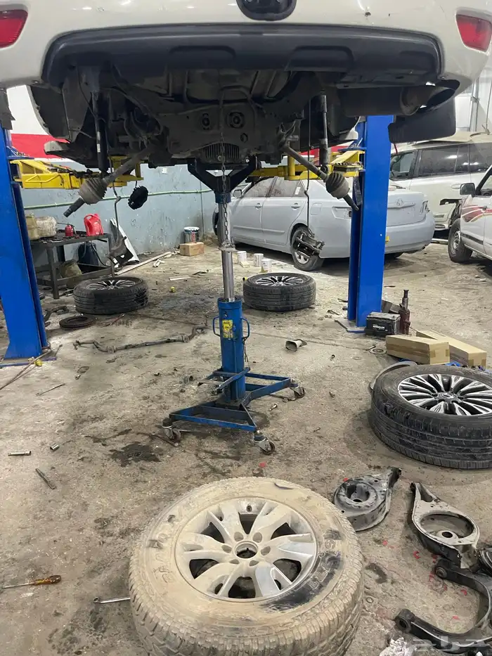 جلد مقصات بلاتنيوم فتك اف جي جكس ار استرالي يوجد تابي وتمارا 24