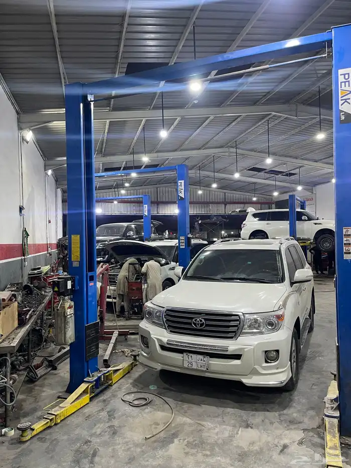 جلد مقصات بلاتنيوم فتك اف جي جكس ار استرالي يوجد تابي وتمارا 10