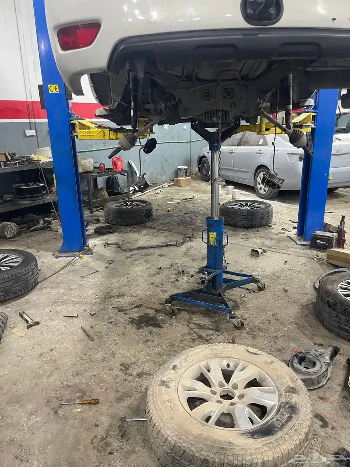 جلد مقصات بلاتنيوم فتك اف جي جكس ار استرالي يوجد تابي وتمارا 25