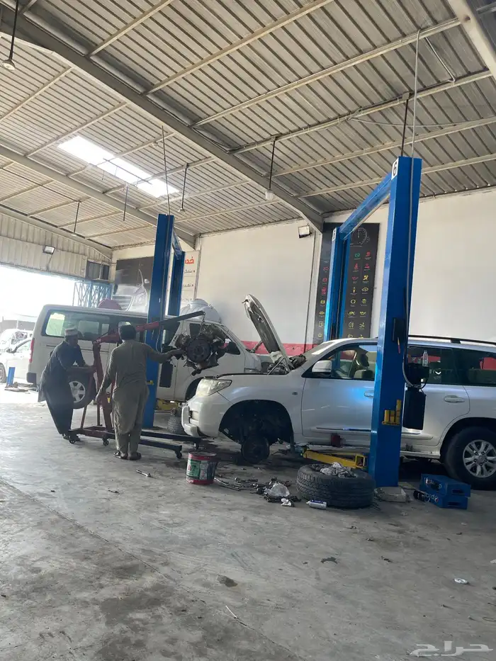 جلد مقصات بلاتنيوم فتك اف جي جكس ار استرالي يوجد تابي وتمارا 17