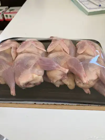 سمان طازج   سمان بياض   صوص سمان   بيض سمان 0