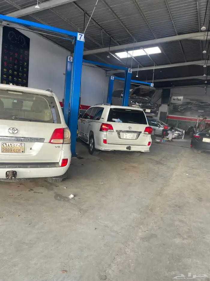 جلد مقصات بلاتنيوم فتك اف جي جكس ار استرالي يوجد تابي وتمارا 16