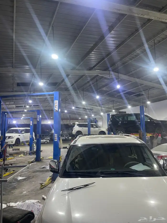 جلد مقصات بلاتنيوم فتك اف جي جكس ار استرالي يوجد تابي وتمارا 3