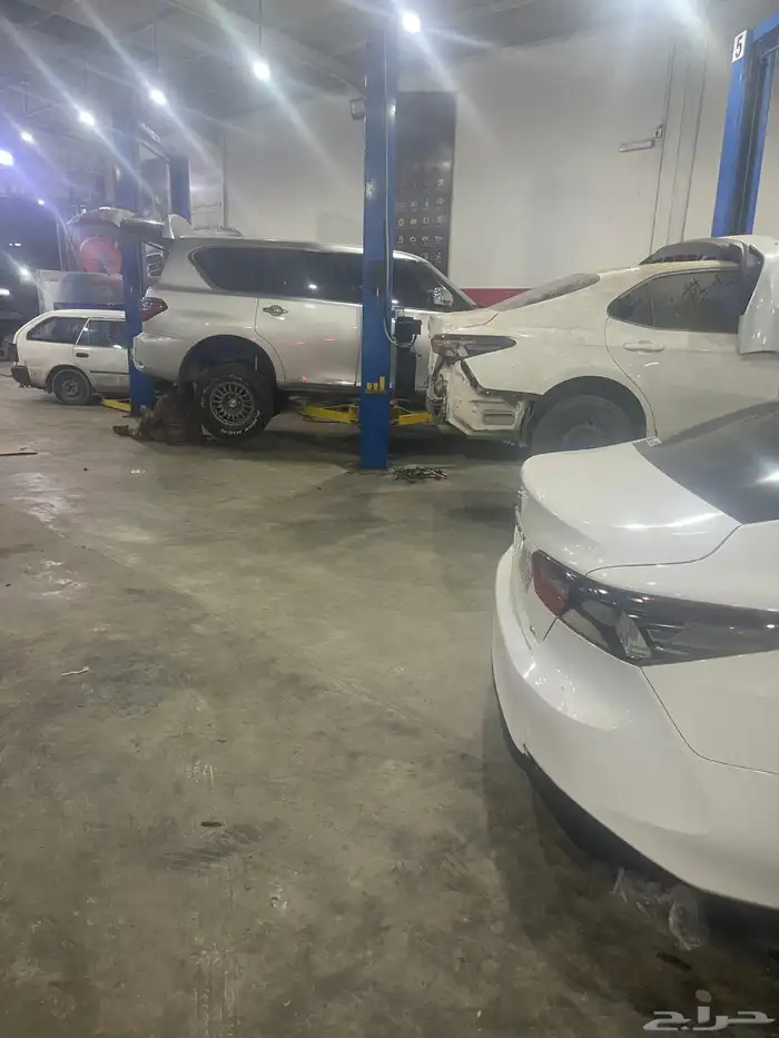 جلد مقصات بلاتنيوم فتك اف جي جكس ار استرالي يوجد تابي وتمارا 15