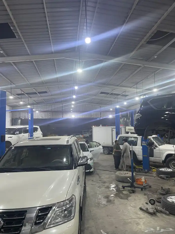 جلد مقصات بلاتنيوم فتك اف جي جكس ار استرالي يوجد تابي وتمارا 4