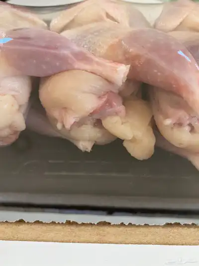 سمان طازج   سمان بياض   صوص سمان   بيض سمان 3