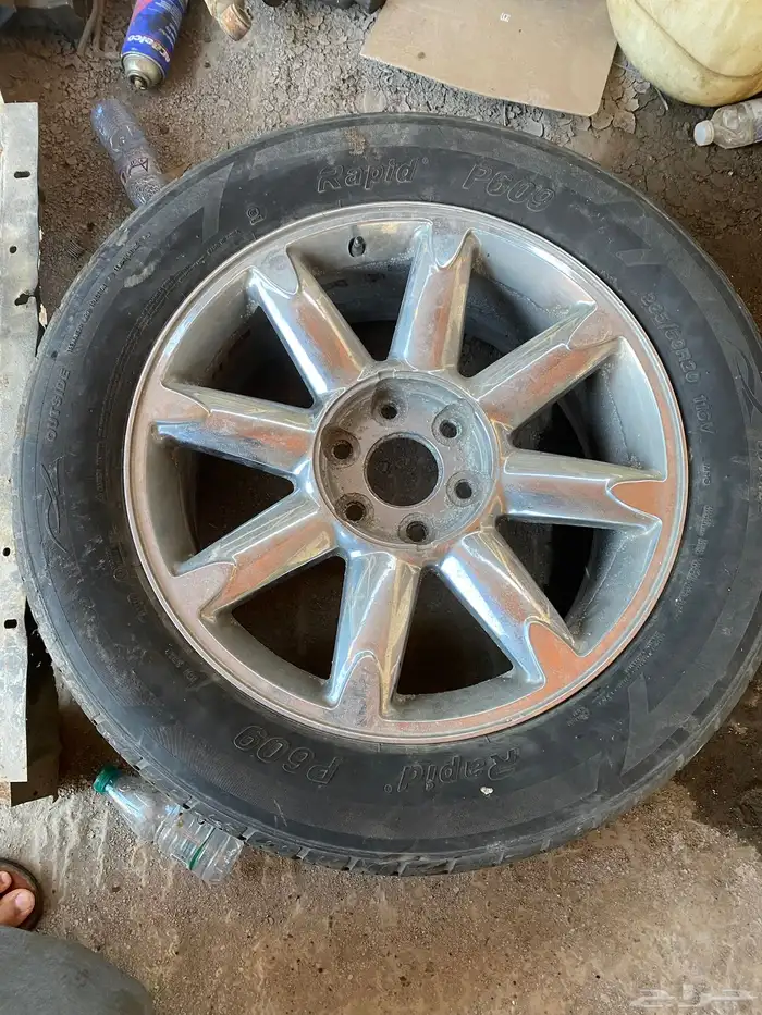 جنوط دينالي 3