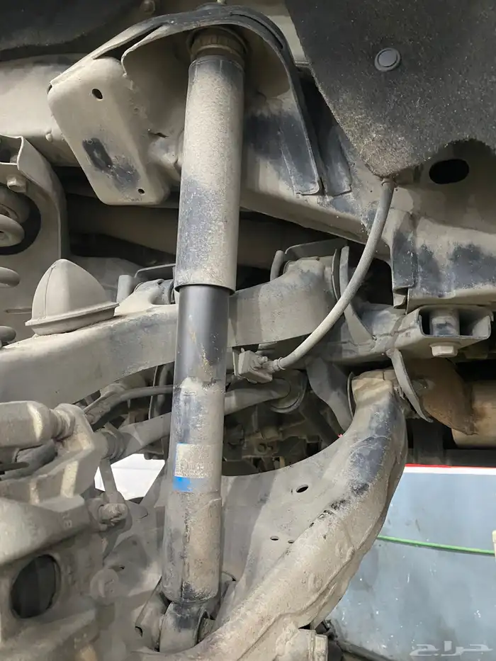 جلد مقصات بلاتنيوم فتك اف جي جكس ار استرالي يوجد تابي وتمارا 36