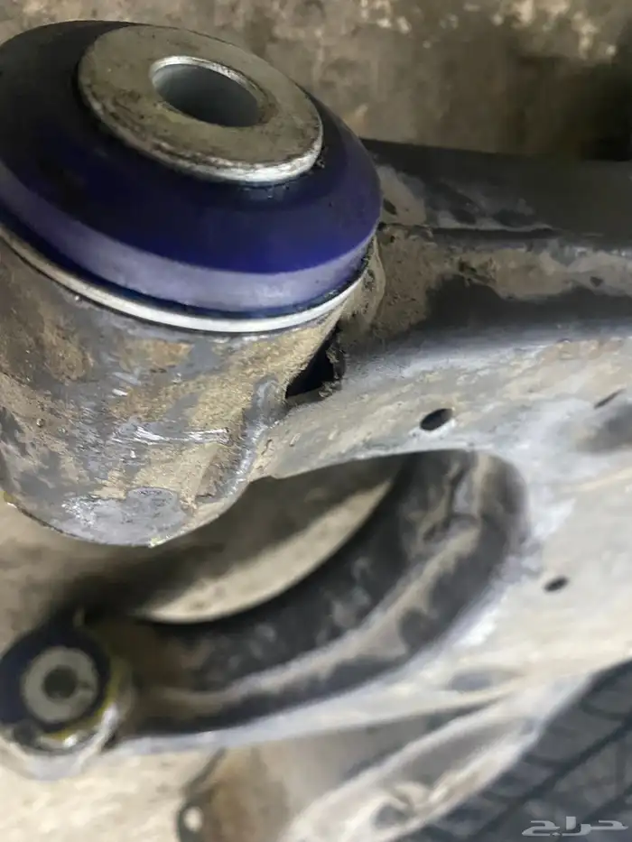 جلد مقصات بلاتنيوم فتك اف جي جكس ار استرالي يوجد تابي وتمارا 31