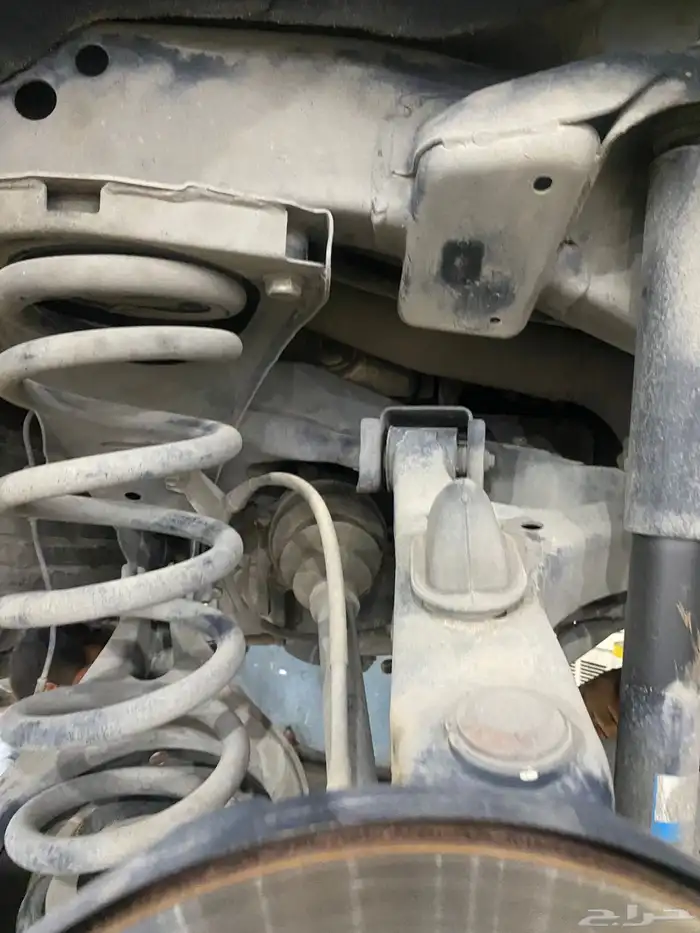 جلد مقصات بلاتنيوم فتك اف جي جكس ار استرالي يوجد تابي وتمارا 37