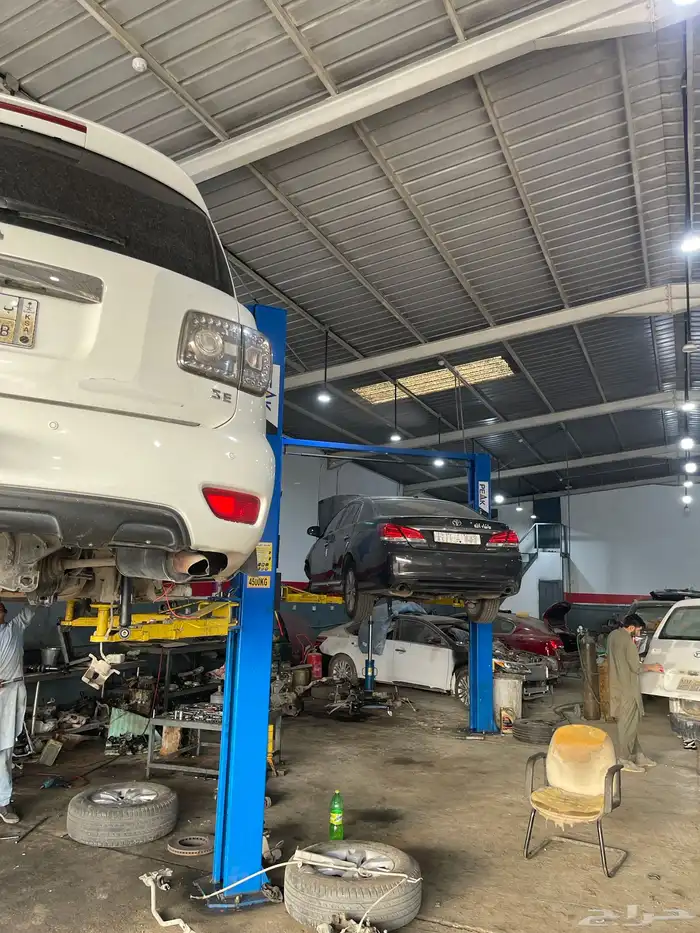 جلد مقصات بلاتنيوم فتك اف جي جكس ار استرالي يوجد تابي وتمارا 22