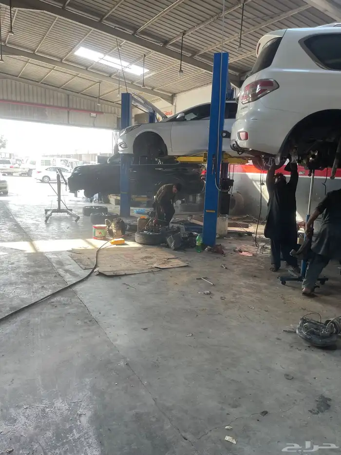 جلد مقصات بلاتنيوم فتك اف جي جكس ار استرالي يوجد تابي وتمارا 13