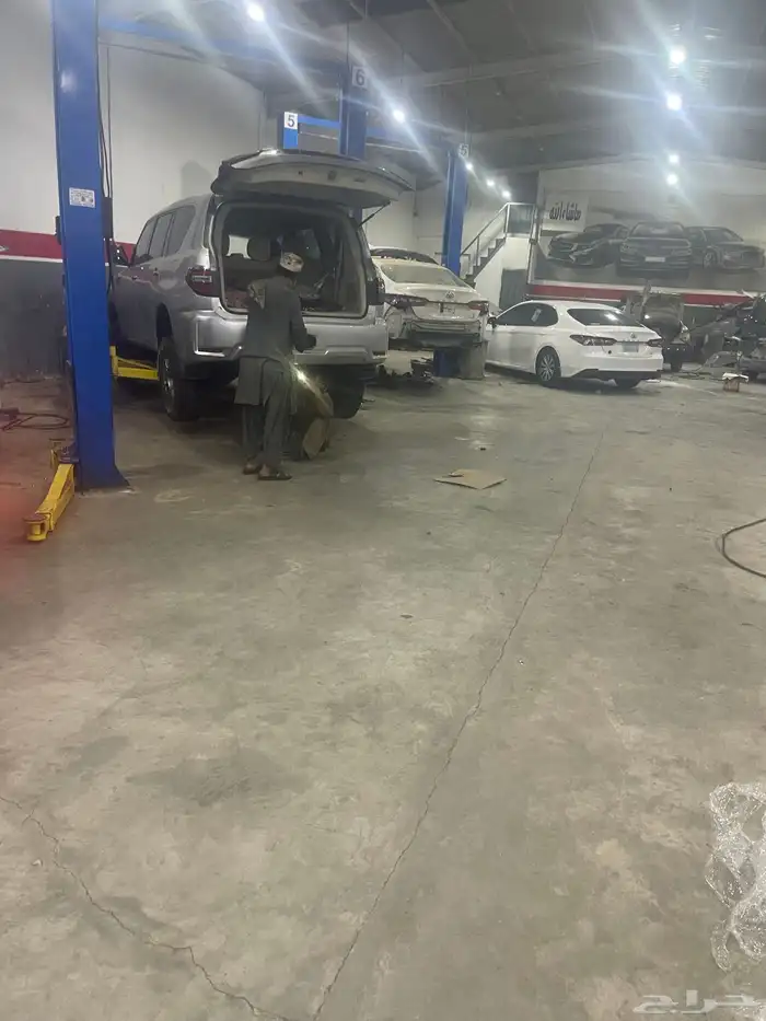 جلد مقصات بلاتنيوم فتك اف جي جكس ار استرالي يوجد تابي وتمارا 14