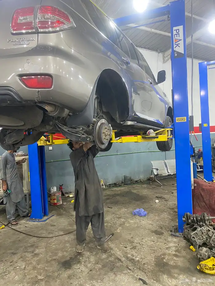 جلد مقصات بلاتنيوم فتك اف جي جكس ار استرالي يوجد تابي وتمارا 35