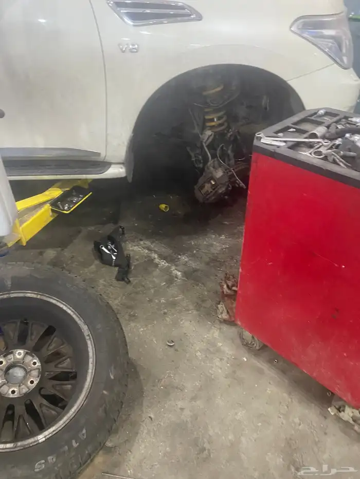 جلد مقصات بلاتنيوم فتك اف جي جكس ار استرالي يوجد تابي وتمارا 29