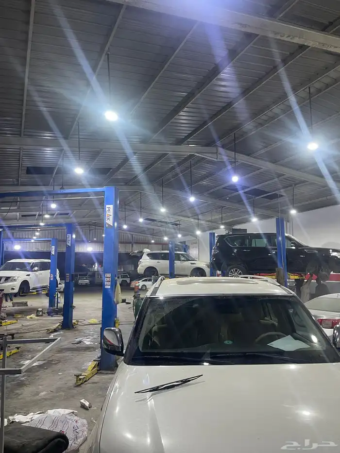 جلد مقصات بلاتنيوم فتك اف جي جكس ار استرالي يوجد تابي وتمارا 2