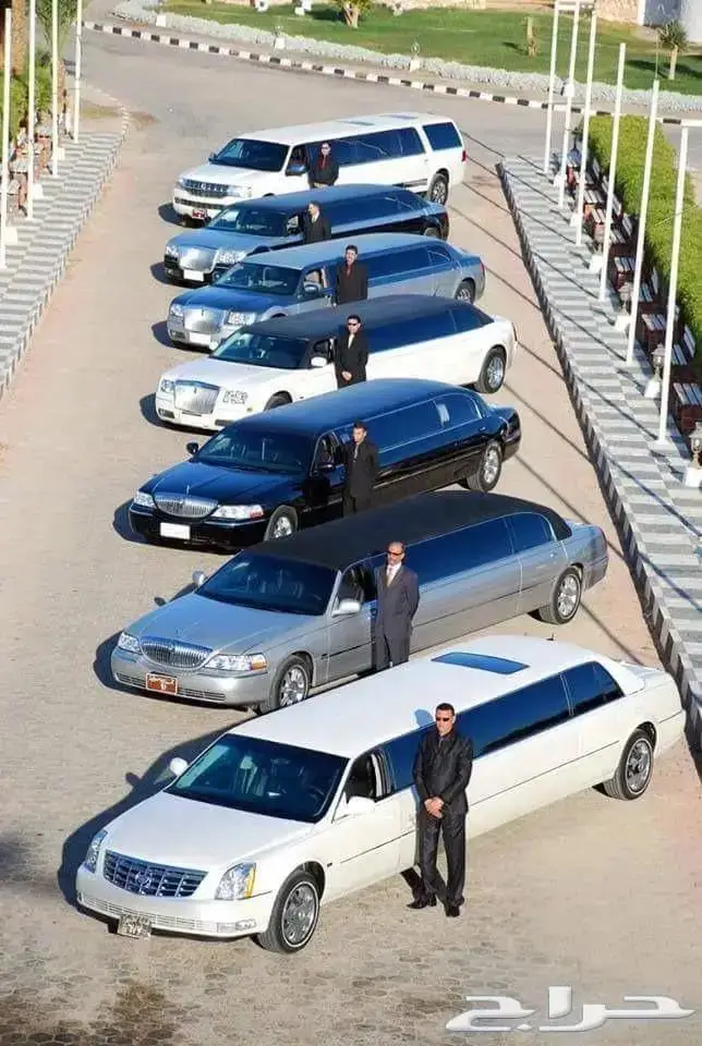 صناع السعادة بالقاهرة 0