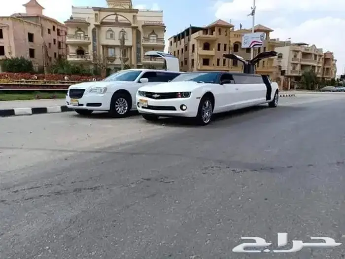 صناع السعادة بالقاهرة 5