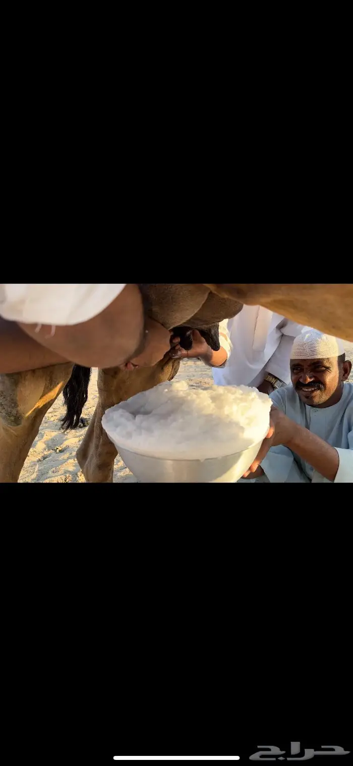 خلفه حمرا دم تحتها بكره تم البيع 0
