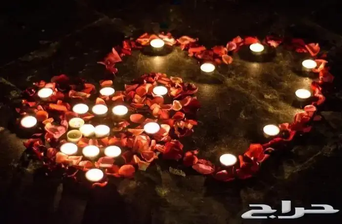 صناع السعادة بالقاهرة 38