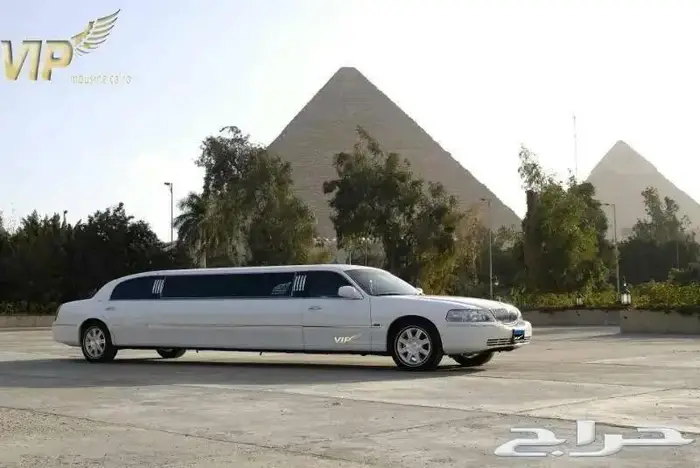 صناع السعادة بالقاهرة 2
