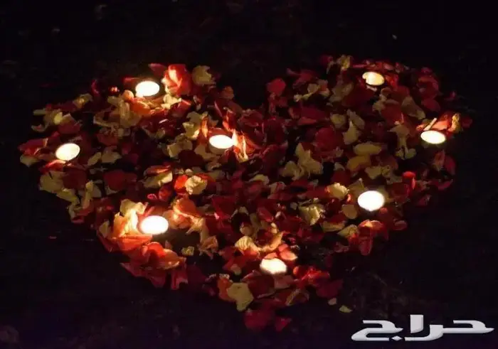صناع السعادة بالقاهرة 33