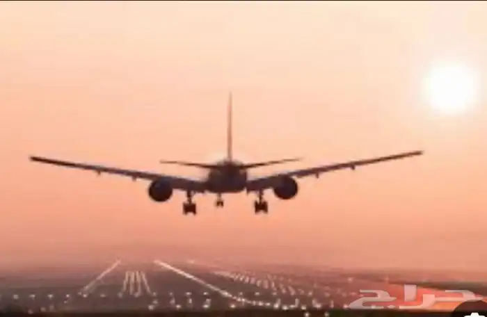 حجز تذاكر طيران وقطار الصيف بدأ وينك ياناوي السفر 0