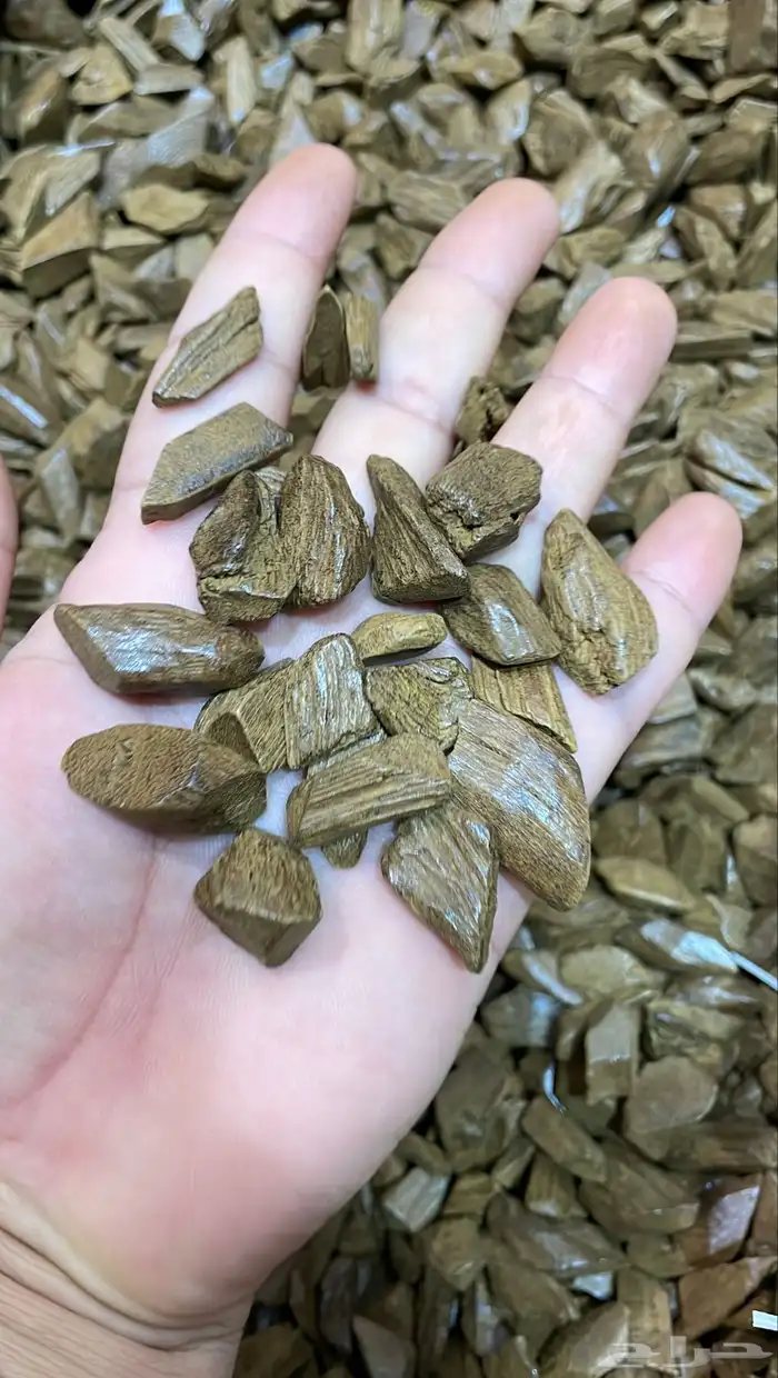 مروكي دقة بيور شي فخم 0