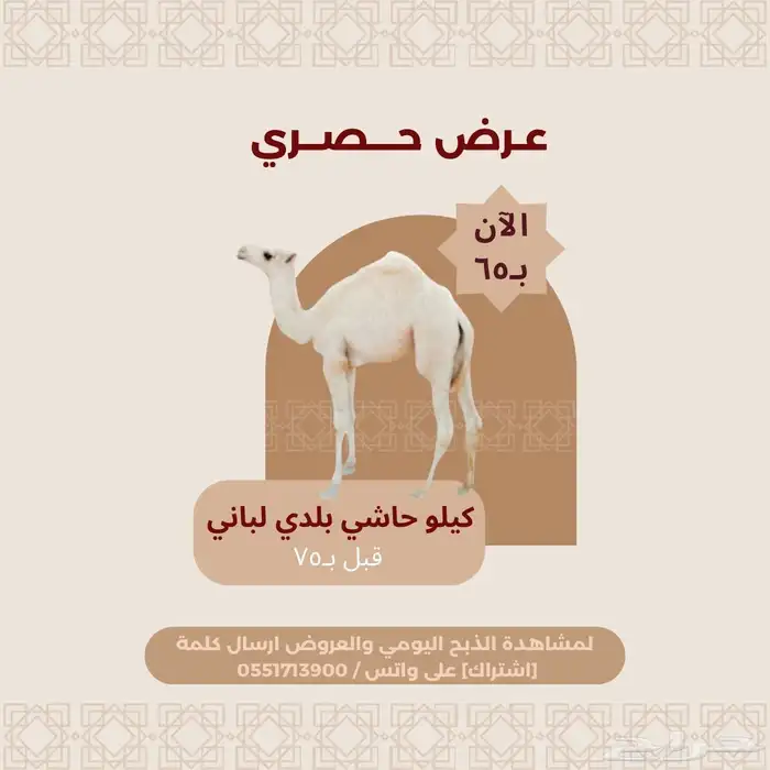 ملحمة ذبائح الحجاز - مخطط البدراني 13